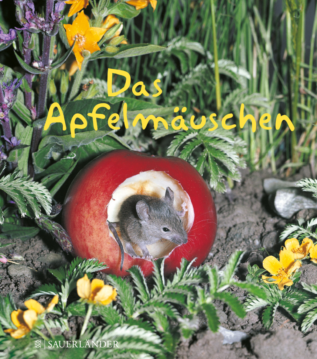 Sauerländer Kinderbuch Cover Maus frisst Obst